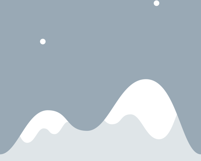 Portfolio Lorem Ipsum (Demo)